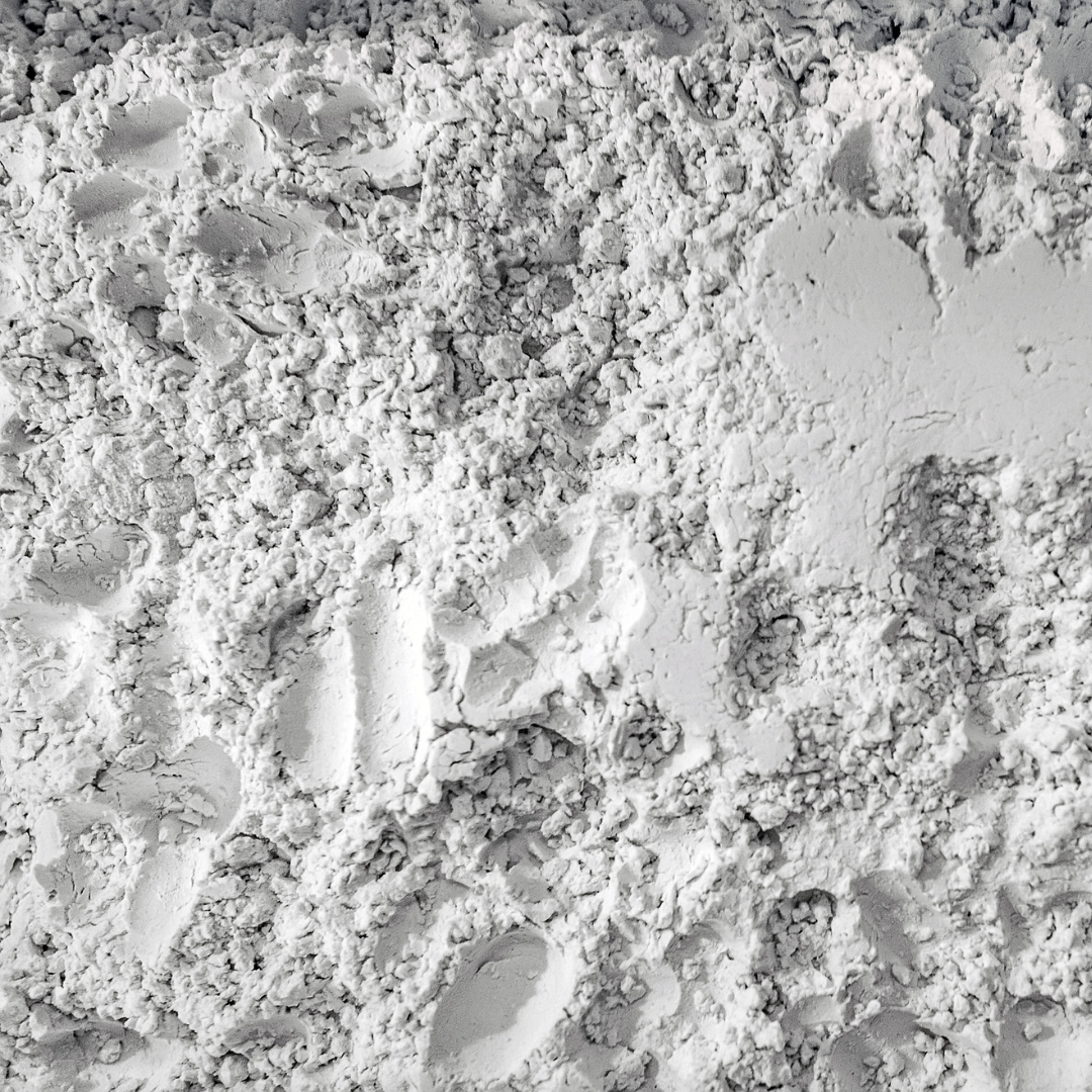 Benefits and Uses for Diatomaceous Earth