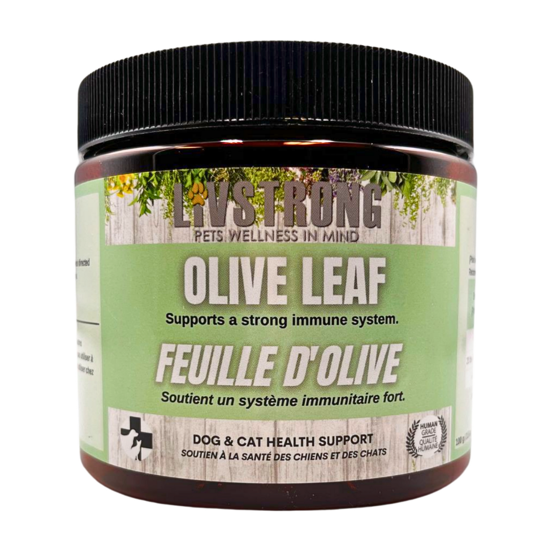 Olive Leaf 100g - Livstrong Pets