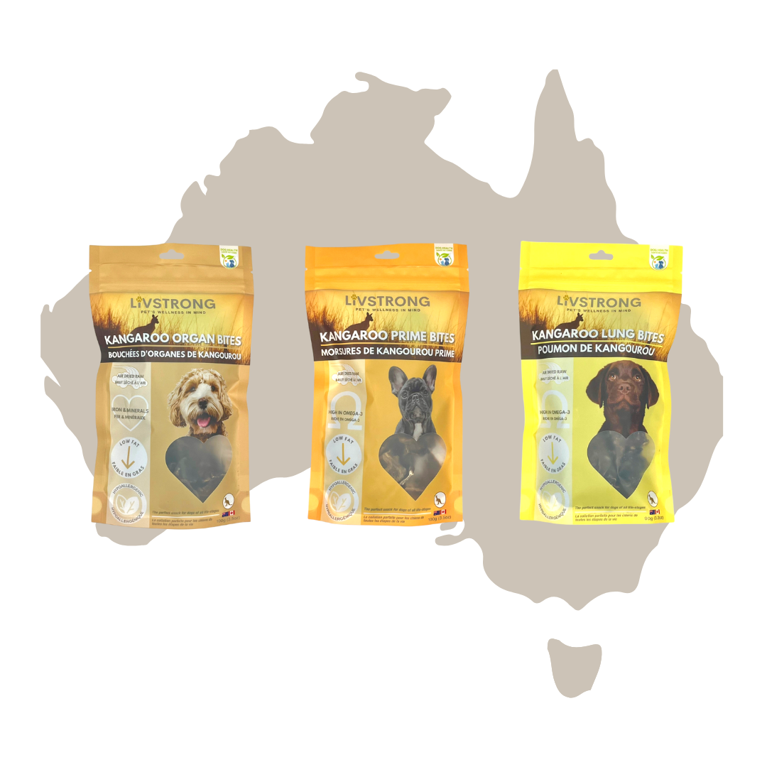 Kangaroo Prime Bites - Livstrong Pets